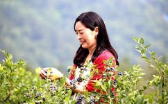 小胖妞在线视频免费观看